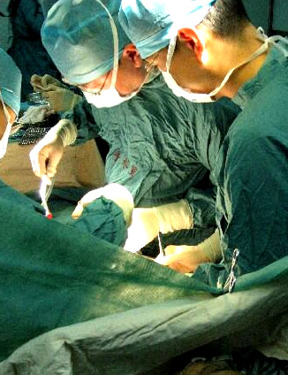 �I��ֲ���g(sh��)