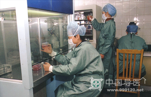 ԇ��<a href='http://www.m.sr88.cn/mmbb' target=_blank>�냺</a>����