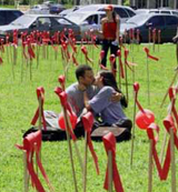 ���̲��ĸ�Ⱦ;��